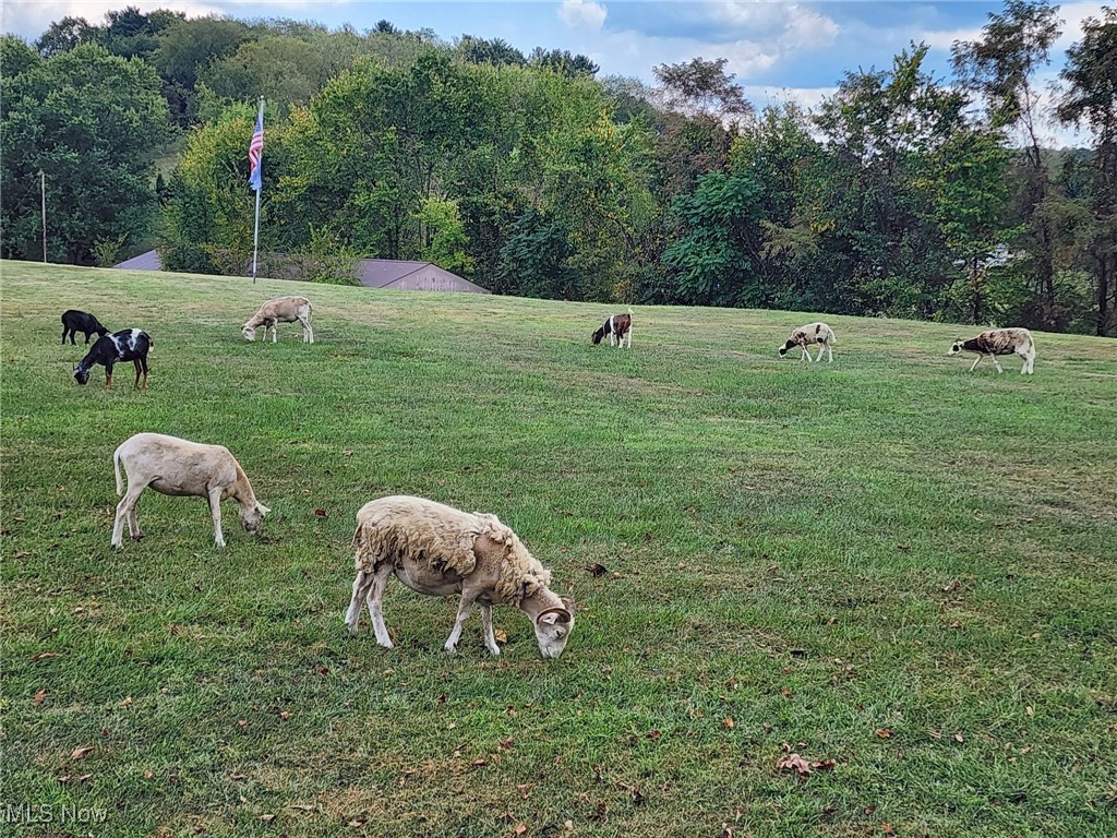 Radio Heights - Residential