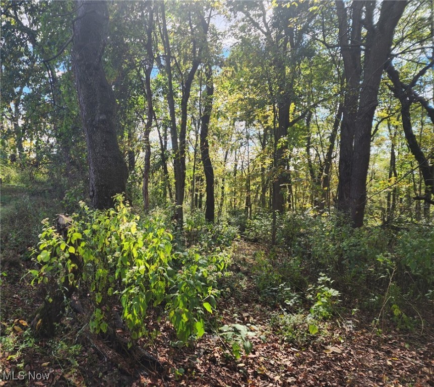 Radio Heights - Residential