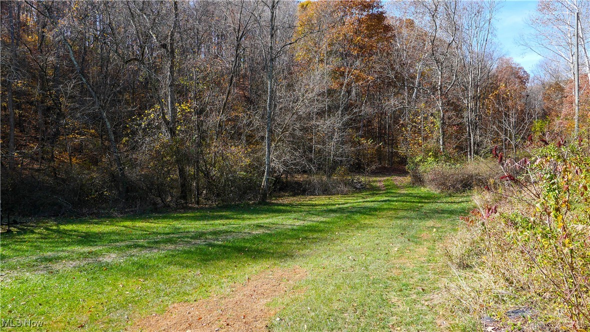 51305 Detroit Lane, Senecaville, Ohio image 39