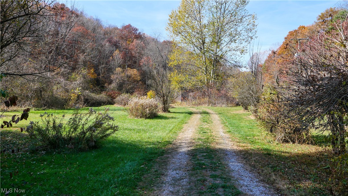 51305 Detroit Lane, Senecaville, Ohio image 41