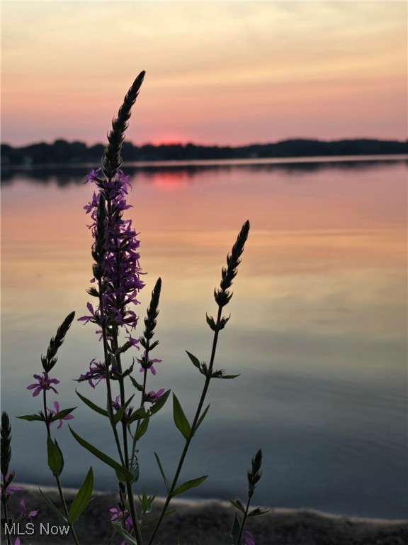 William A Martins Springfield - Residential