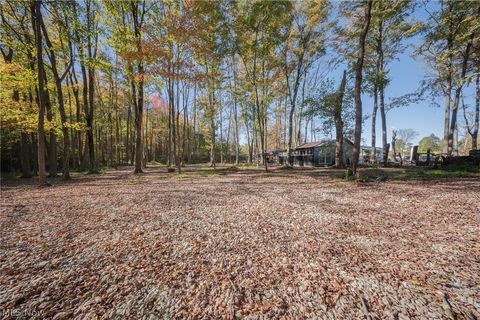 Tiny photo for 504 State Route 89, West Salem, OH 44287 (MLS # 5190468)