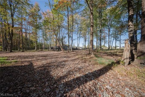 Tiny photo for 504 State Route 89, West Salem, OH 44287 (MLS # 5190468)