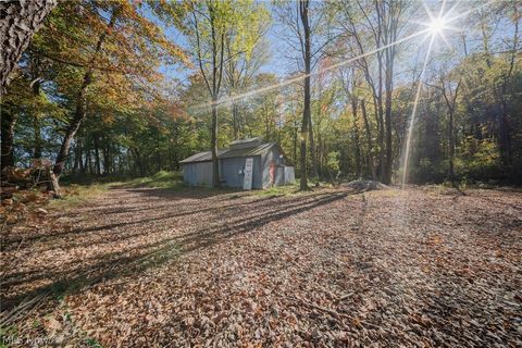 Tiny photo for 504 State Route 89, West Salem, OH 44287 (MLS # 5190468)