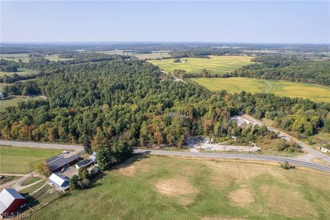 Tiny photo for 504 State Route 89, West Salem, OH 44287 (MLS # 5190468)