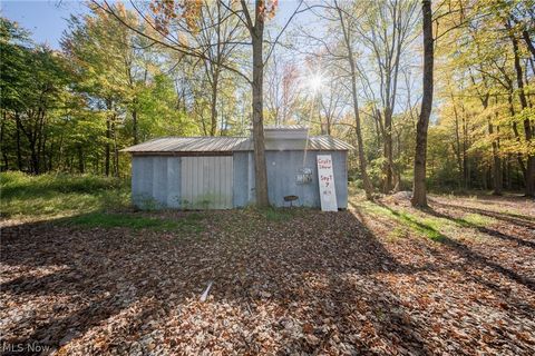 Tiny photo for 504 State Route 89, West Salem, OH 44287 (MLS # 5190468)