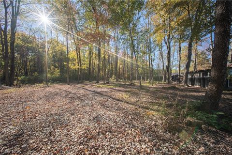 Tiny photo for 504 State Route 89, West Salem, OH 44287 (MLS # 5190468)