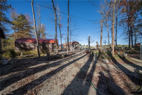Tiny photo for 504 State Route 89, West Salem, OH 44287 (MLS # 5190468)
