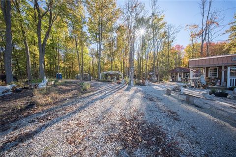 Tiny photo for 504 State Route 89, West Salem, OH 44287 (MLS # 5190468)