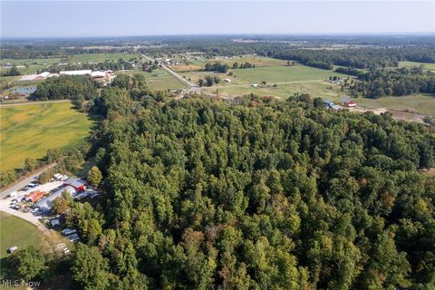 Tiny photo for 504 State Route 89, West Salem, OH 44287 (MLS # 5190468)