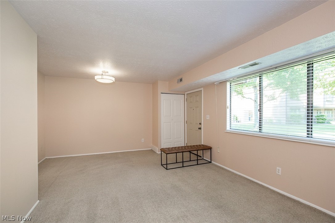 26702 Lake Of The Falls Boulevard