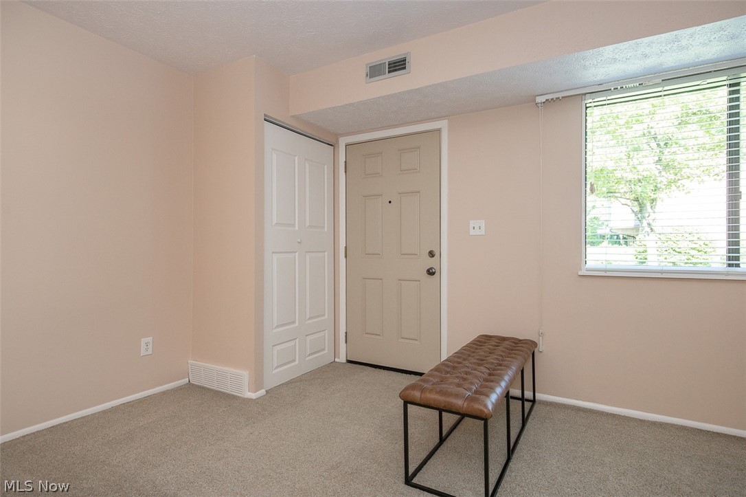26702 Lake Of The Falls Boulevard