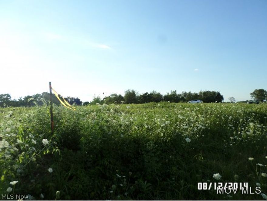 A & D Tornes Subdivision. Nice rural, residential building site. Other lots include, Lot 1 (1.173 acres $25,000); Lot 2 (1.137 acres $25,000); Lot 3 (1.149 acres $25,000); Lot 9 (2.2334 acres $20,000); Lot 10 (1.177 acres $25,000);  Individual septic system approved for each lot by County Health Dept.  Legal description and taxes to be determined.  Elem: Waterford Elementary School  Elem/Bus: Y  JrHigh: Waterford Jr. High  JrHigh/Bus: Y  High: Waterford High School  High/Bus: Y  Fire: VOL  Police: SHF
