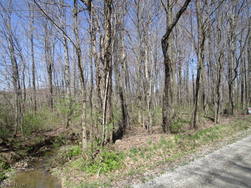 Nicely located building lot just minutes from Rt. 528 and Rt. 90. Quiet rural road - mostly wooded lot - plenty of wildlife and privacy!  Parcel is being split from PP # 30-000600- dimensions are approximate pending final survey. Taxes will be determined at a later date. Mineral Rights transfer. Timber removal currently in progress - will be completed by August 1, 2015. More land available - See MLS listing of 31 acres to the west of this parcel.