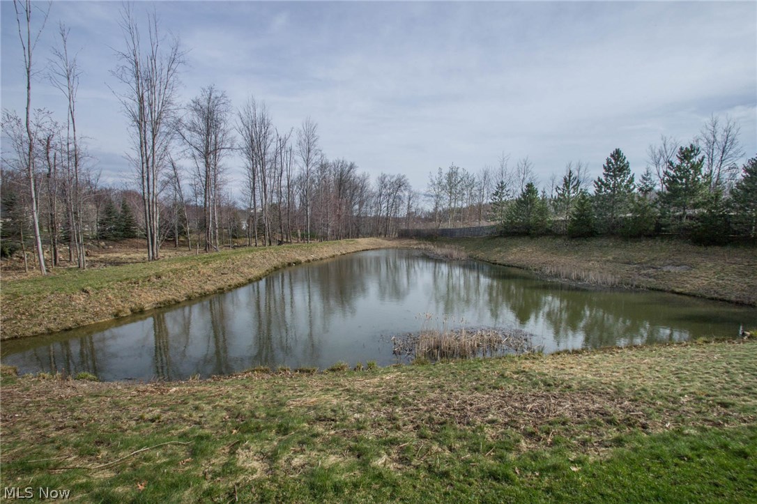 Chestnut Woods - Residential