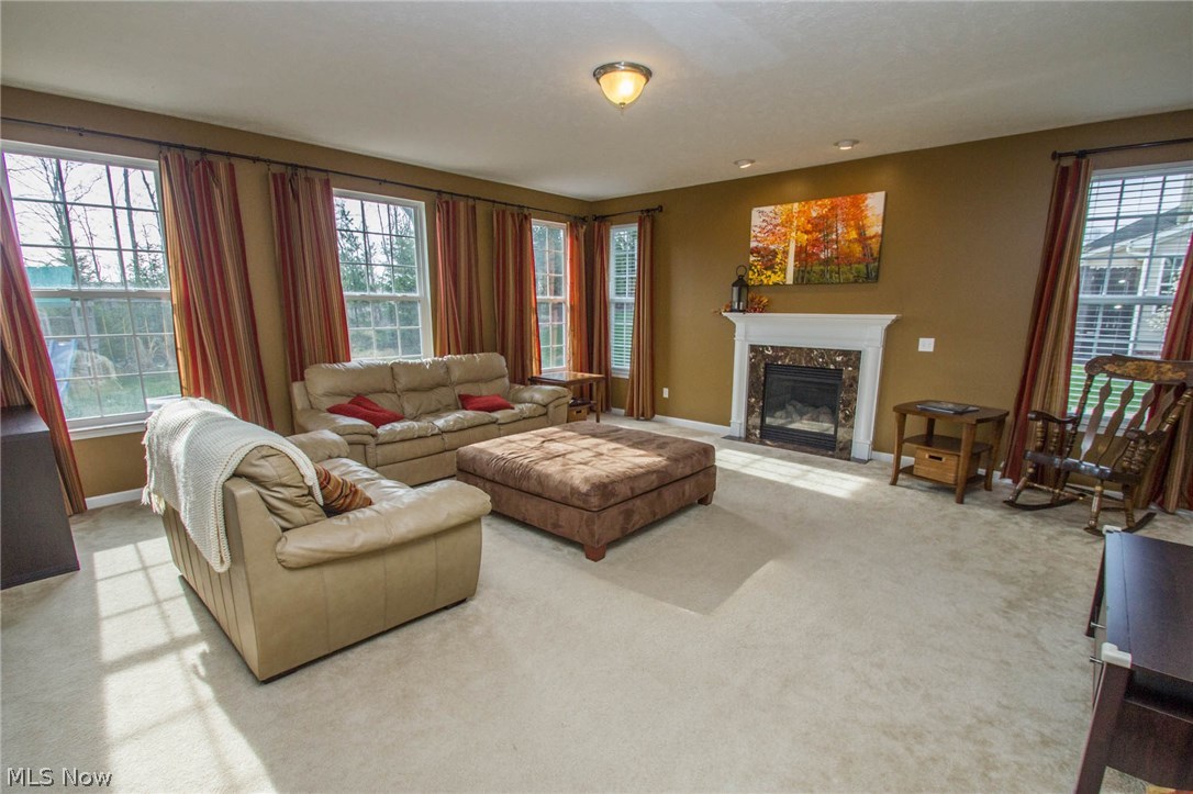 Chestnut Woods - Residential