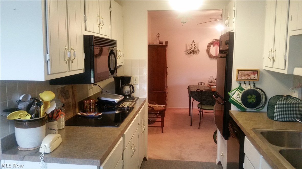 Silver Lake Towers Condo - Residential