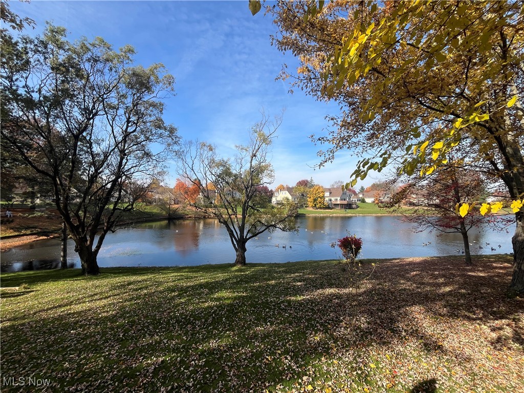 10366 Hanford Lane, Twinsburg, Ohio image 8