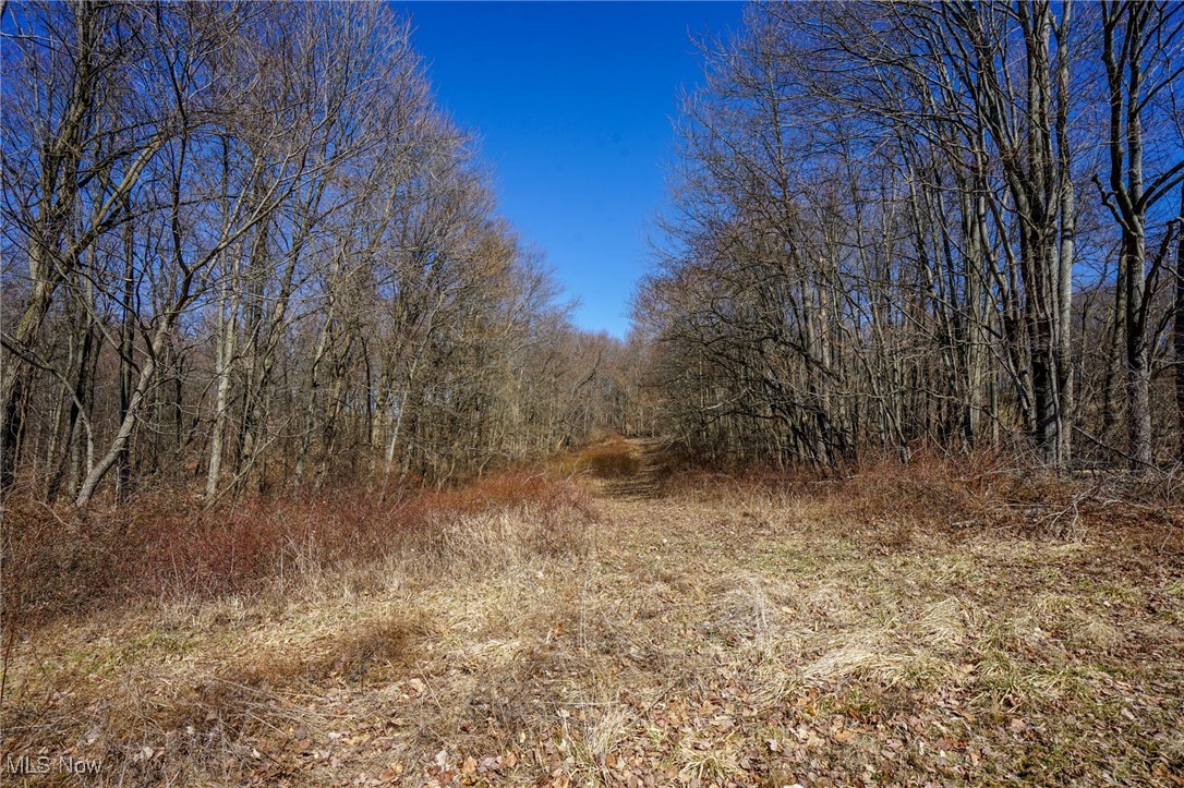 Cooks Hill Rd, Glenford, Ohio image 29