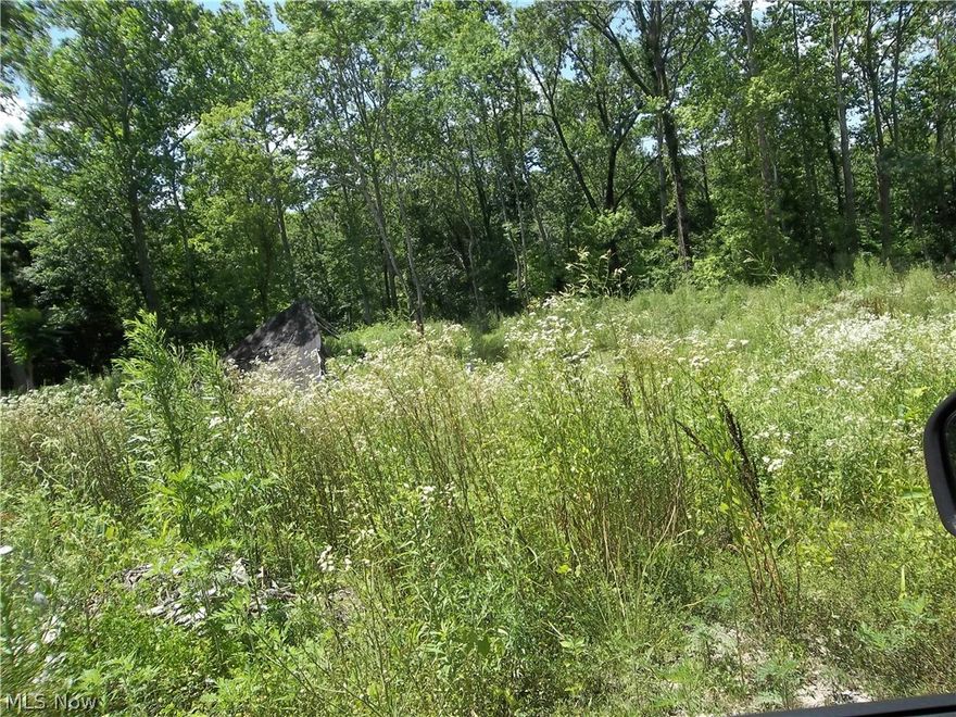 5 Acres
In Estate so unsure of water and sewer
There was mobile that burnt 
Selling as is
Needs survey seller to do