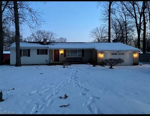 406 Laurel Street, Youngstown, OH 44505 - MLS#: 5096002
