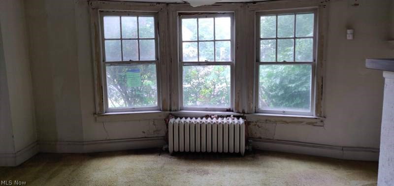 Cedar Hill Allotment - Residential