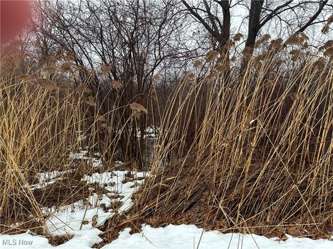 Tiny photo for Appaloosa Trl, Madison, OH 44057 (MLS # 5179782)