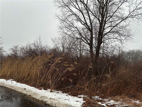 Tiny photo for Appaloosa Trl, Madison, OH 44057 (MLS # 5179782)