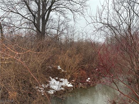 Tiny photo for Appaloosa Trl, Madison, OH 44057 (MLS # 5179782)