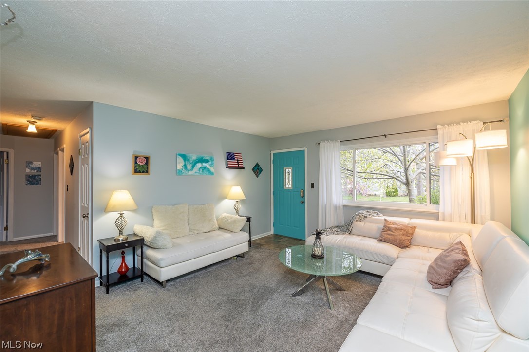 Brook Park Acres 01 - Residential