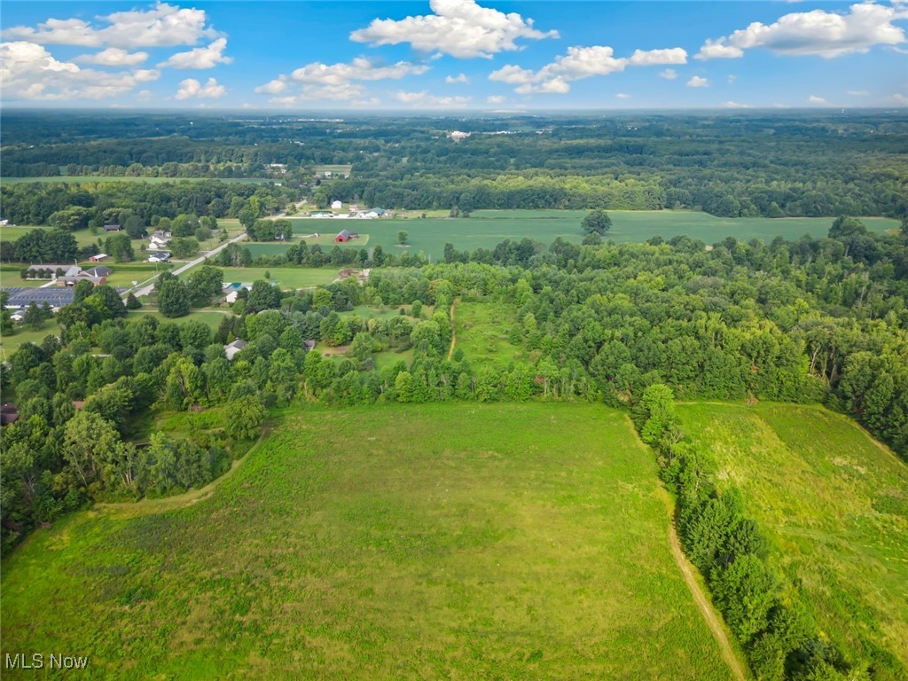 V/L Capel Road, Grafton, Ohio image 8