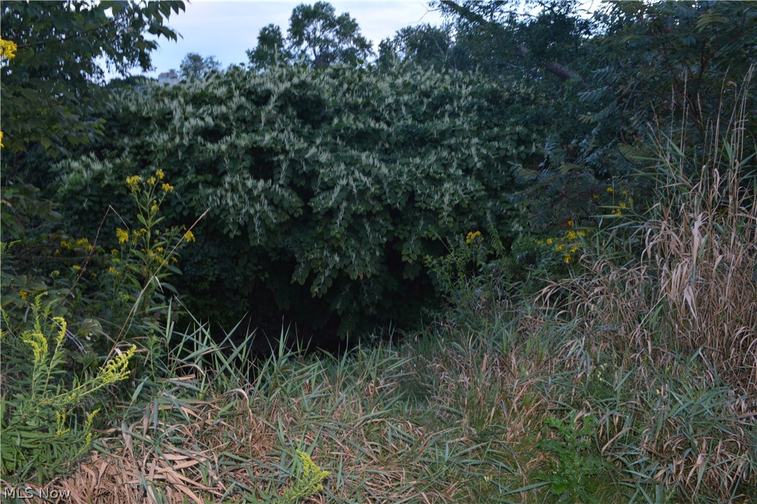 Copley - Residential