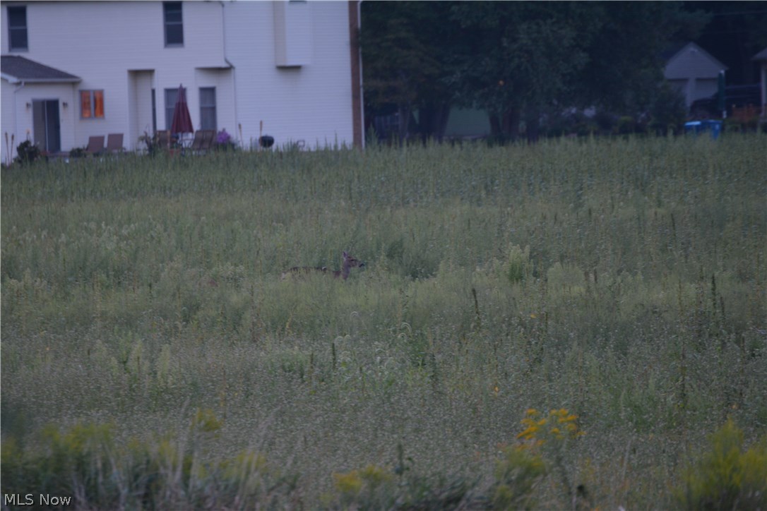 Copley - Residential