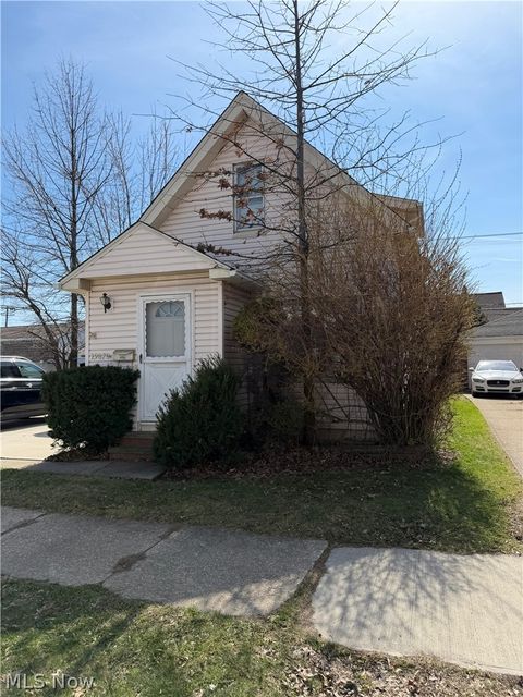 Homes For Sale - 19870 Pasnow Avenue<br/> Euclid, OH 44119
