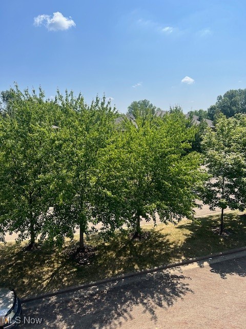 Enclave - Residential