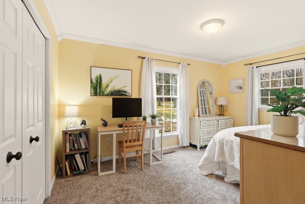 Bainbridge Heights - Residential