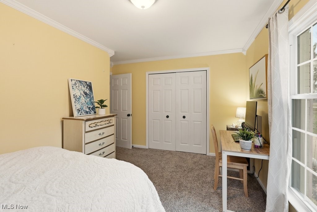 Bainbridge Heights - Residential