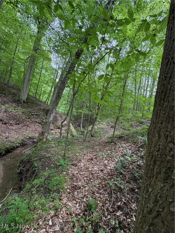Granger Hill Road, Zanesville, Ohio image 17