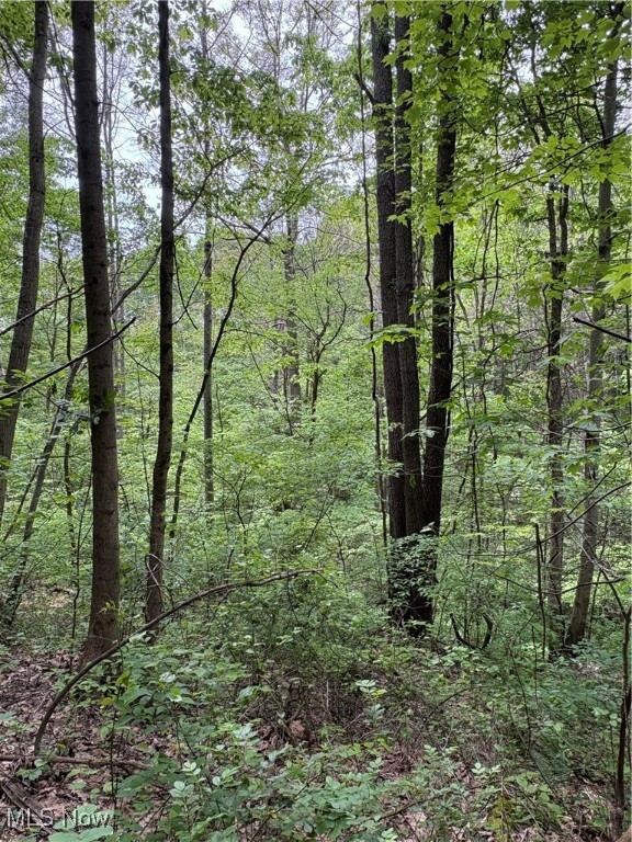 Granger Hill Road, Zanesville, Ohio image 4