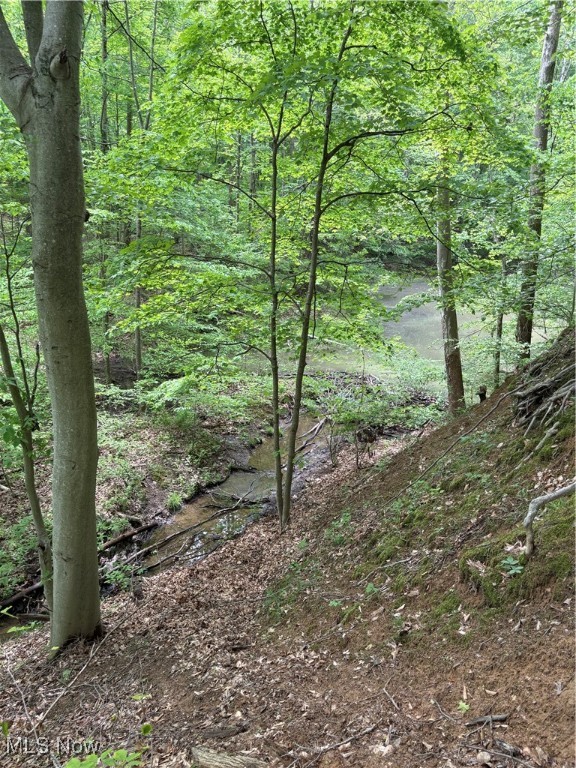 Granger Hill Road, Zanesville, Ohio image 6