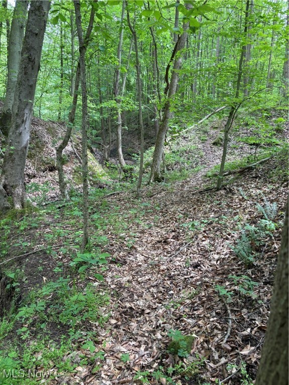 Granger Hill Road, Zanesville, Ohio image 19