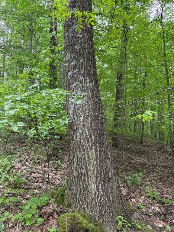 Granger Hill Road, Zanesville, Ohio image 31
