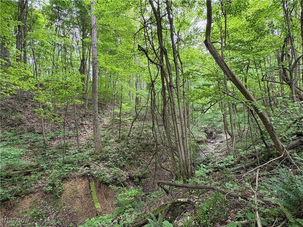 Granger Hill Road, Zanesville, Ohio image 22