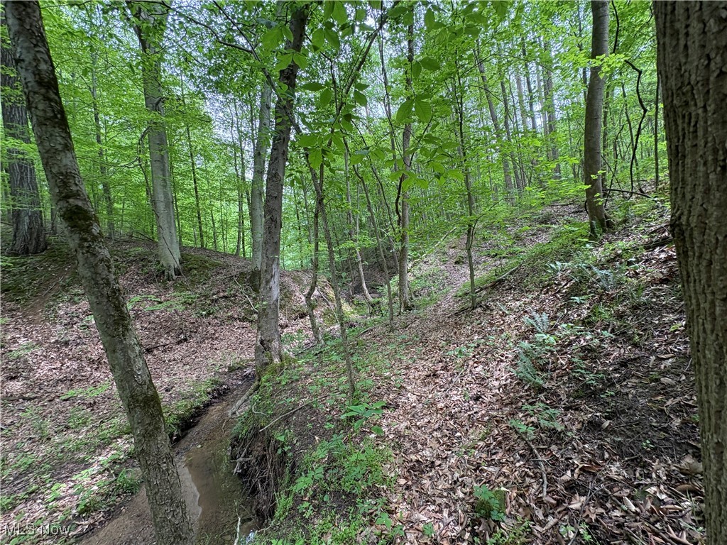 Granger Hill Road, Zanesville, Ohio image 18