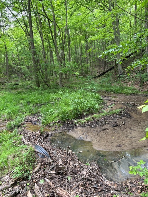 Granger Hill Road, Zanesville, Ohio image 27