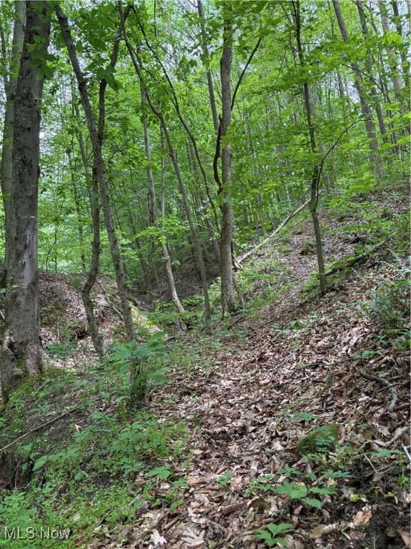 Granger Hill Road, Zanesville, Ohio image 16
