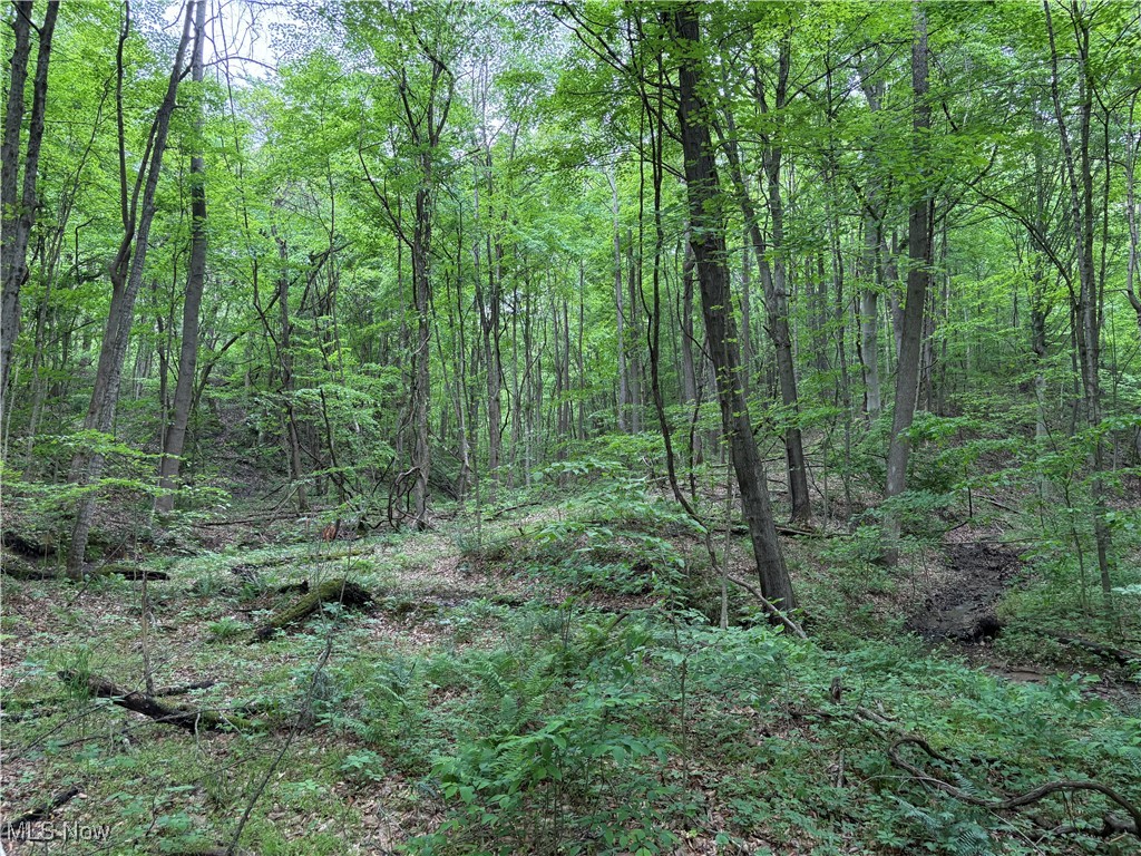 Granger Hill Road, Zanesville, Ohio image 25