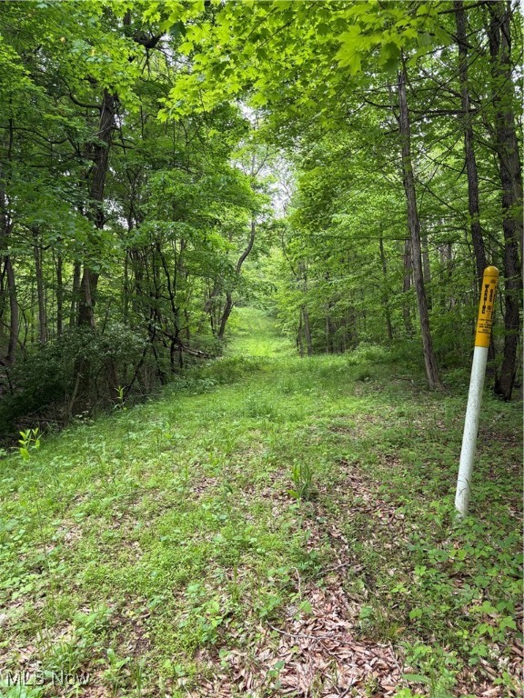 Granger Hill Road, Zanesville, Ohio image 23