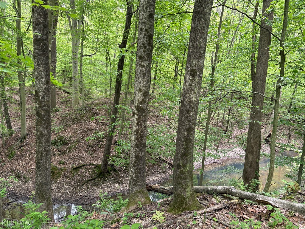 Granger Hill Road, Zanesville, Ohio image 9
