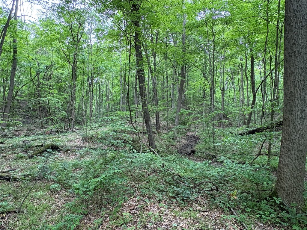 Granger Hill Road, Zanesville, Ohio image 26